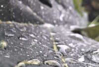 1765321448042-ilustrasi-hujan-1764385551807_169