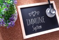 1765429490232-010914af-e0fb-4bb4-b643-757b81b8e847_169