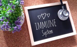 1765429490232-010914af-e0fb-4bb4-b643-757b81b8e847_169