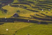 1765451059091-famtrip-malasari-2025-hadirkan-pesona-wisata-alam-budaya-desa-malasari-1765439839876_169