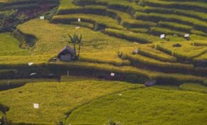 1765451059091-famtrip-malasari-2025-hadirkan-pesona-wisata-alam-budaya-desa-malasari-1765439839876_169