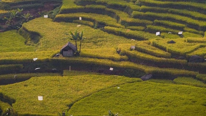 1765451059091-famtrip-malasari-2025-hadirkan-pesona-wisata-alam-budaya-desa-malasari-1765439839876_169