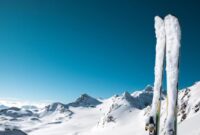 1765494255029-721275e7-06c7-441f-a2a5-2ac0a6aef280_169