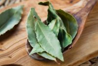 1765602253615-911769366-1749269914025_169