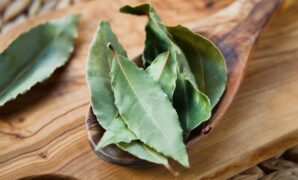 1765602253615-911769366-1749269914025_169