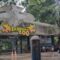 1765602266612-suasana-bandung-zoo-terkini-setelah-penutupan-1754971402974_169