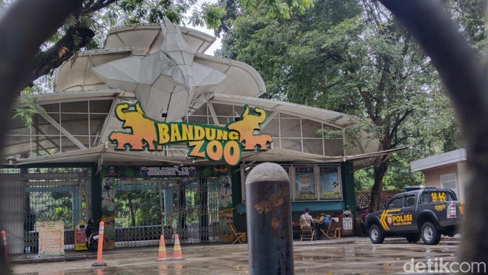 1765602266612-suasana-bandung-zoo-terkini-setelah-penutupan-1754971402974_169