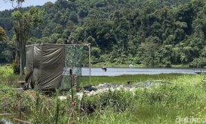 1765645457469-elang-jawa-bernama-raja-dirgantara-dilepasliarkan-di-situ-gunung-1765618318154_169