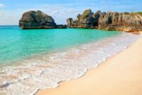 1765731854263-1f9b6fbf-55cd-4a01-a20b-a6ca5940aa6a_169