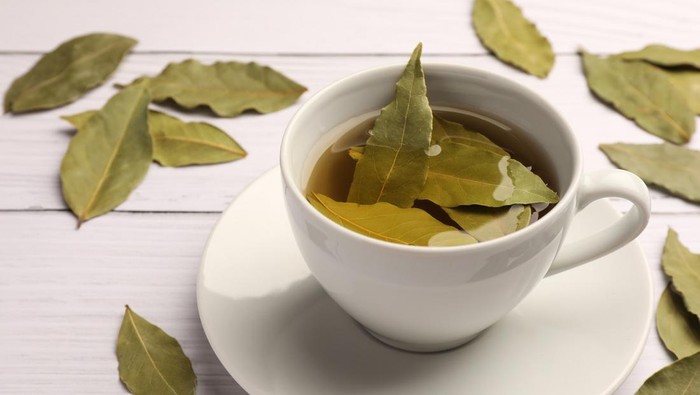 1765731856937-daun-salam_169