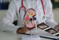 1765731862058-ilustrasi-ginjal-1764557305617_169