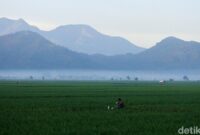 1765753462608-973f2086-40e8-4600-90c6-b9427b281d50_169