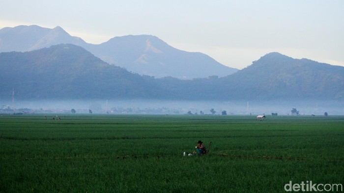 1765753462608-973f2086-40e8-4600-90c6-b9427b281d50_169