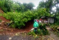 1765775069519-akses-jalan-menuju-wilayah-pajampangan-dari-palabuhanratu-dan-sekitarnya-lumpuh-total-akibat-longsor-1765765832163_169
