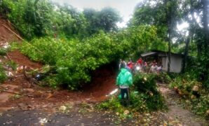 1765775069519-akses-jalan-menuju-wilayah-pajampangan-dari-palabuhanratu-dan-sekitarnya-lumpuh-total-akibat-longsor-1765765832163_169