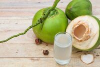 1765861475677-ilustrasi-air-kelapa-muda_169