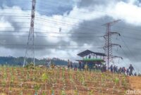 1765883050308-kondisi-pos-pengamanan-di-perkebunan-teh-malabar-blok-pahlawan-kecamatan-pangalengan-kabupaten-bandung-1765874927551_169