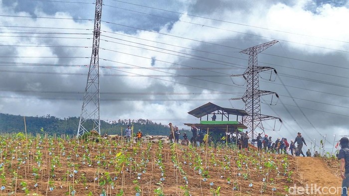 1765883050308-kondisi-pos-pengamanan-di-perkebunan-teh-malabar-blok-pahlawan-kecamatan-pangalengan-kabupaten-bandung-1765874927551_169