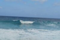 1765904658897-a22601ab-17d0-4f1c-a387-aa0ee3fd5081_169