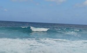 1765904658897-a22601ab-17d0-4f1c-a387-aa0ee3fd5081_169