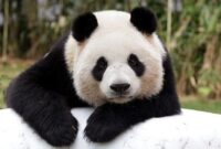 1765904659467-3cbdbe9b-1e63-4f0a-b8bf-673a1cd88e2c_169