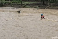 1766055892155-aksi-abah-endang-seberangi-sungai-cidadap-1766052125714_169