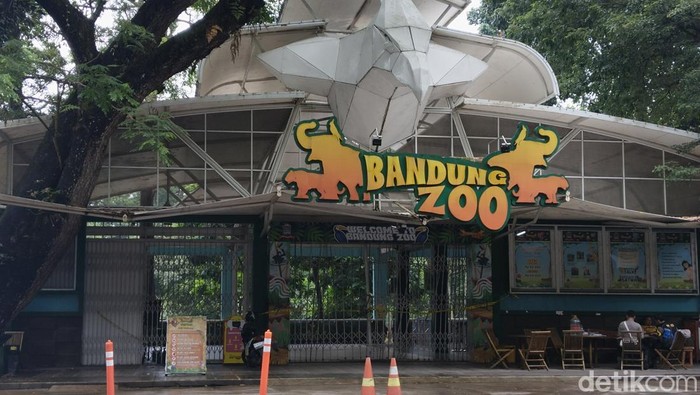 1766055893658-suasana-bandung-zoo-terkini-setelah-penutupan-1754971402848_169