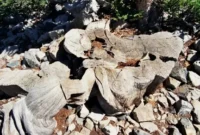 1766077467586-prometheus-1765952534298_169