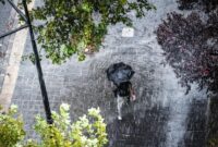 1766271871691-ilustrasi-hujan-1762235553812_169