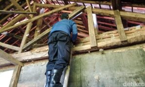 1766747056675-kala-damkar-usir-kera-liar-yang-acak-acakan-dapur-rumah-warga-di-kuningan-1766746364564_169