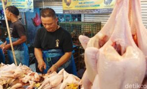 1767071067430-jelang-lebaran-harga-daging-ayam-dan-sapi-naik-7_169