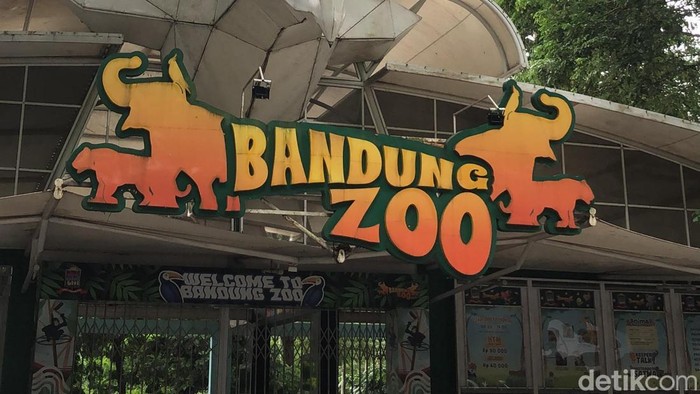 1767092700376-bandung-zoo-1766812772138_169