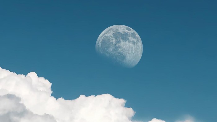 1767114278278-bulan_169