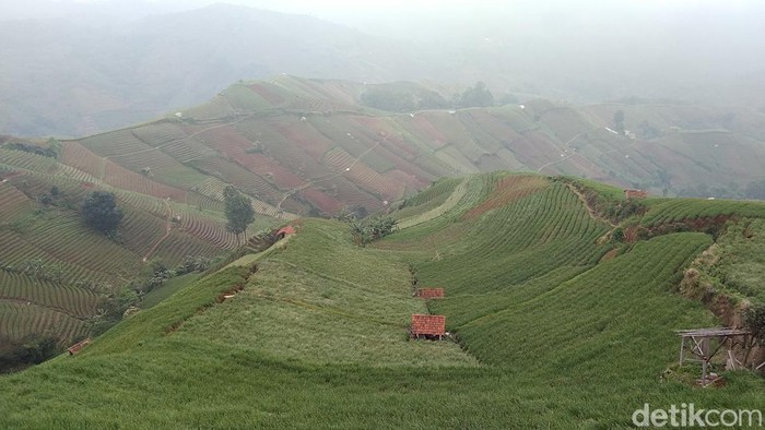 1767135860055-salah-satu-destinasi-wisata-di-majalengka-1767079802095_169