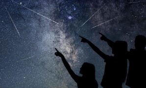 1767438420765-fa6956a0-c367-46b5-9e7c-e86ca86d6eba_169