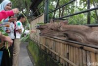 1767438435121-suasana-di-taman-satwa-cikembulan-garut-1767420762351_169