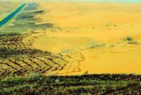 1767459852795-tembok-raksasa-hijau-china-1765783477451_169