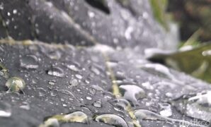 1767481456644-ilustrasi-hujan-1764385551807_169