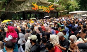 1767503130224-kepadatan-di-pintu-masuk-bandung-zoo-1767496369105_169