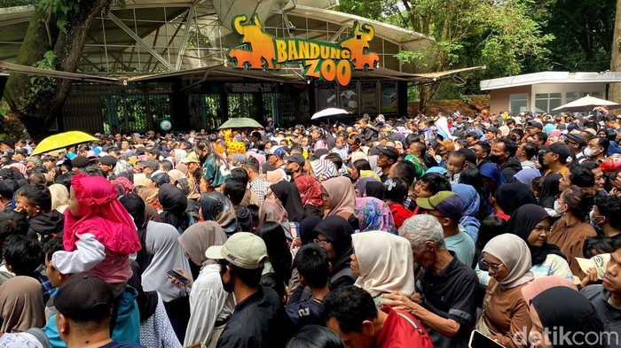 1767503130224-kepadatan-di-pintu-masuk-bandung-zoo-1767496369105_169