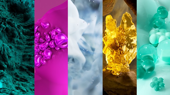 1767524691611-ptncoyalt42025-1767496262997_169