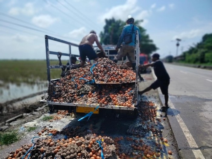 1767632675215-evakuasi-mobil-telur-yang-terbakar-senin-512026-1767617204256_43