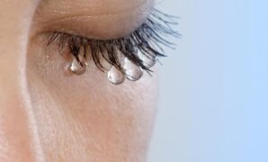 1767675880111-9d5ebe7d-7eaf-4460-8aff-6e98fd489fe8_169