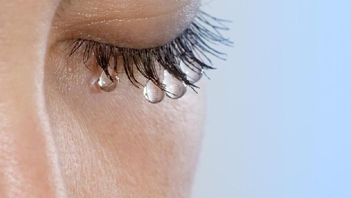 1767675880111-9d5ebe7d-7eaf-4460-8aff-6e98fd489fe8_169