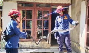 1767697463852-ular-king-cobra-dari-rumah-nasikin-1767687518996_169