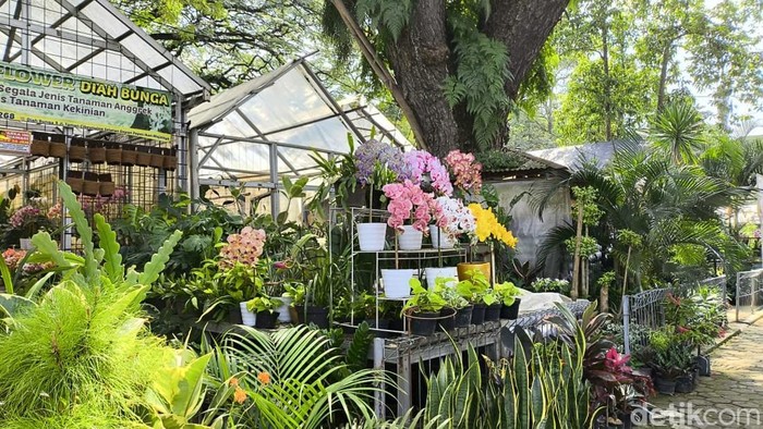 1767697467971-salah-satu-kios-penjual-bunga-di-taman-cibeunying-1767599215551_169