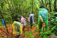 1768021473174-kebun-awi-lokasi-penemuan-mayat-tanpa-kepala-di-ciracap-sukabumi-1767953331277_169