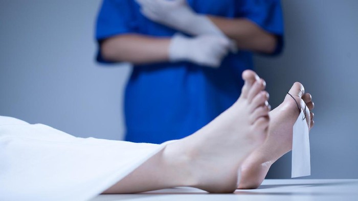 1769079862947-36fd2beb-9f10-402d-a14e-45b0c1499161_169