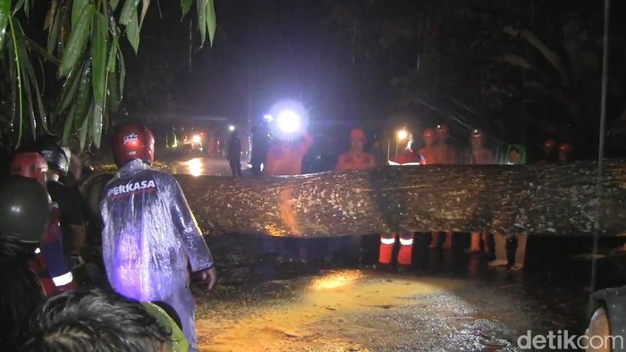 1769101460041-pohon-tumbang-di-jalan-cagak-subang-1769099476381_169