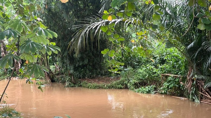 1769144669797-lokasi-munculnya-buaya-bernama-lisa-1769059373169_169